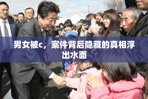 男女被c，案件背后隐藏的真相浮出水面