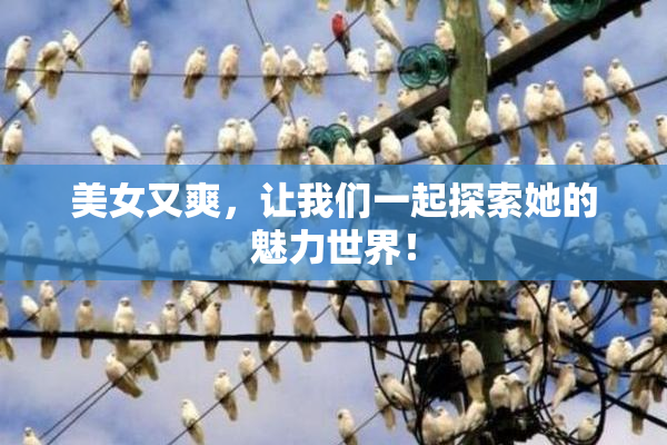 美女又爽，让我们一起探索她的魅力世界！