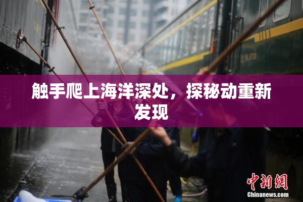 触手爬上海洋深处，探秘动重新发现