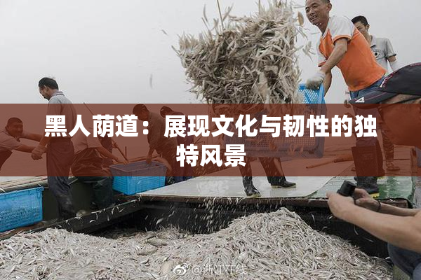 黑人荫道：展现文化与韧性的独特风景