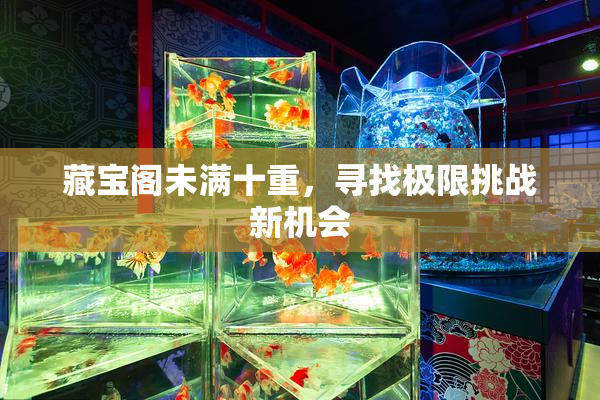 藏宝阁未满十重，寻找极限挑战新机会