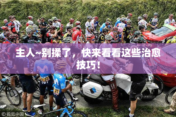 主人~别揉了，快来看看这些治愈技巧！