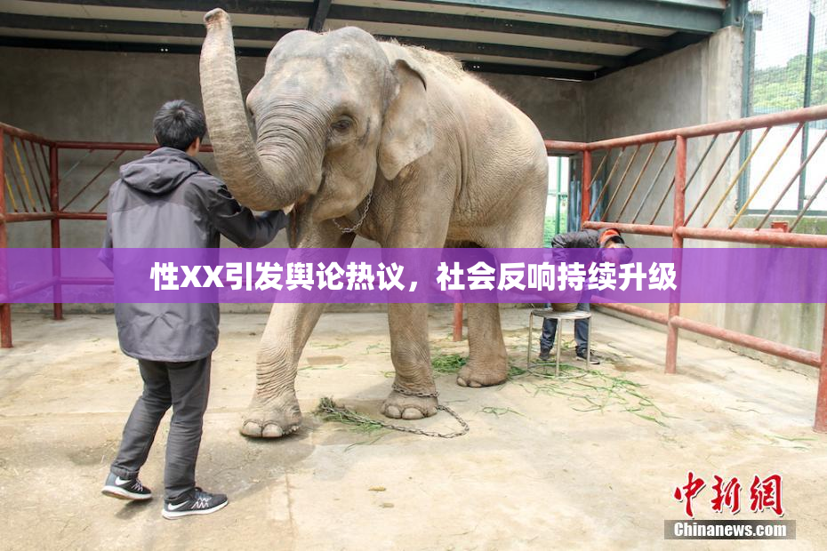 性XX引发舆论热议，社会反响持续升级