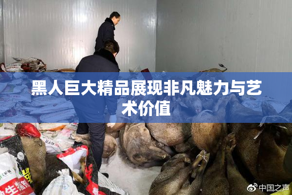 黑人巨大精品展现非凡魅力与艺术价值