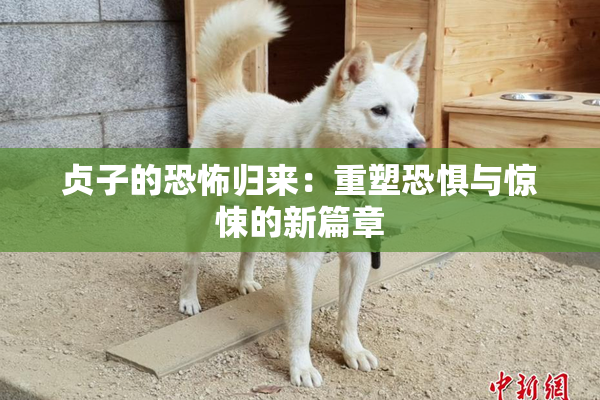 贞子的恐怖归来：重塑恐惧与惊悚的新篇章