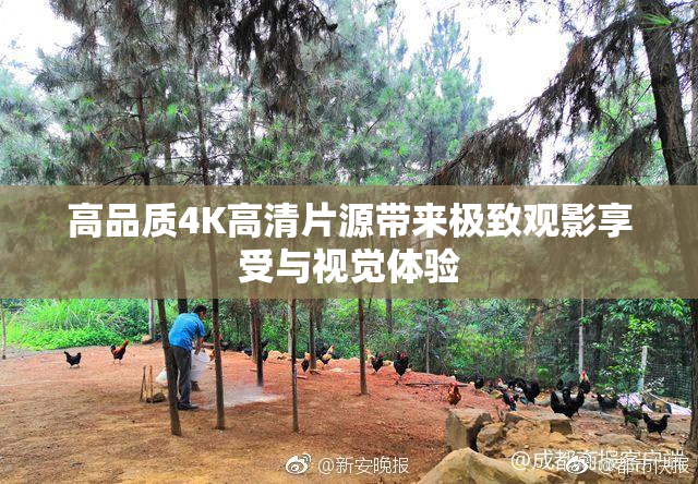 高品质4K高清片源带来极致观影享受与视觉体验