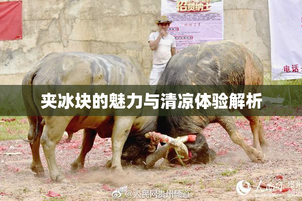 夹冰块的魅力与清凉体验解析
