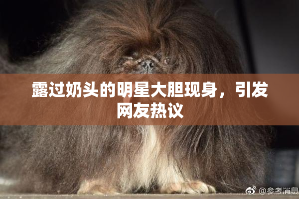 露过奶头的明星大胆现身，引发网友热议