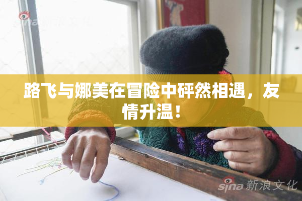 路飞与娜美在冒险中砰然相遇，友情升温！