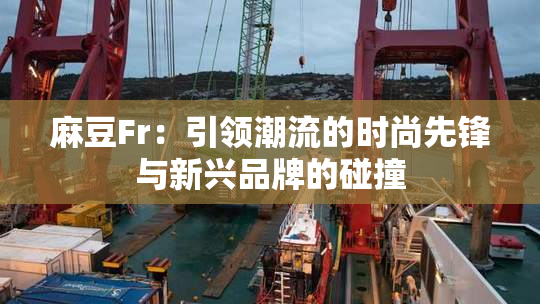 麻豆Fr：引领潮流的时尚先锋与新兴品牌的碰撞