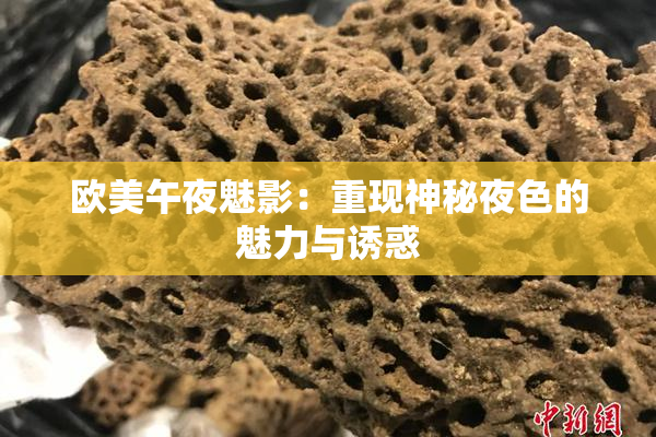 欧美午夜魅影：重现神秘夜色的魅力与诱惑