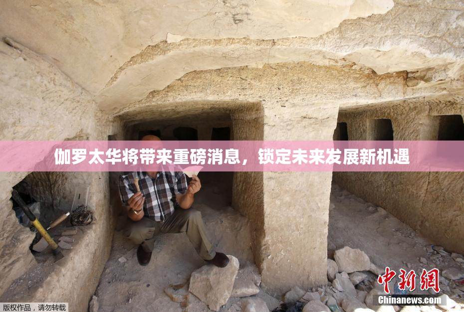 伽罗太华将带来重磅消息，锁定未来发展新机遇