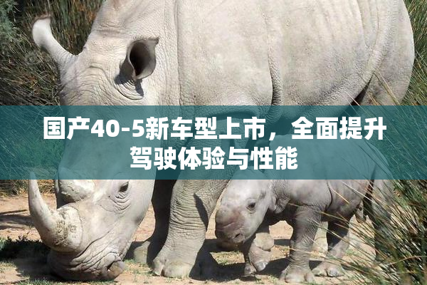 国产40-5新车型上市，全面提升驾驶体验与性能