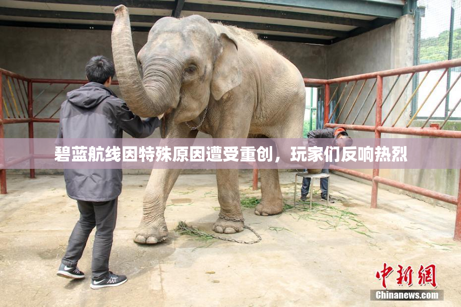 碧蓝航线因特殊原因遭受重创，玩家们反响热烈
