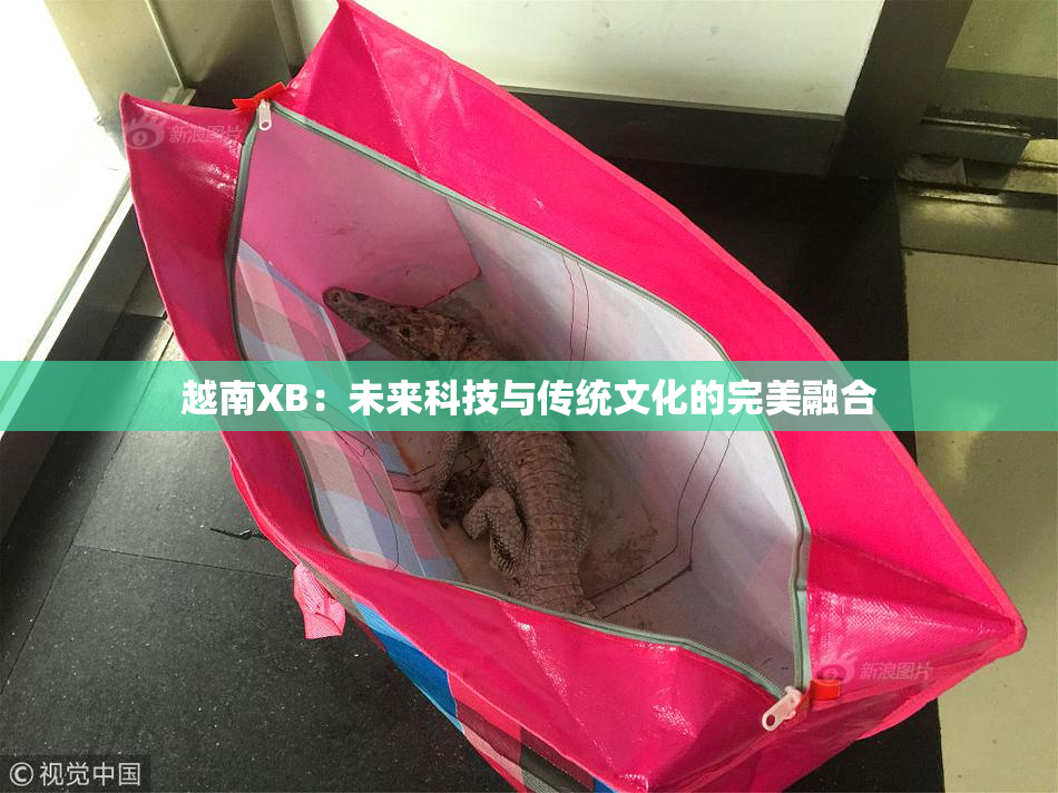 越南XB：未来科技与传统文化的完美融合