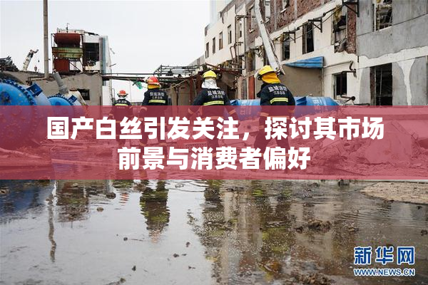 国产白丝引发关注，探讨其市场前景与消费者偏好