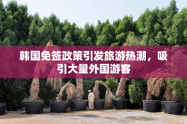 韩国免签政策引发旅游热潮，吸引大量外国游客
