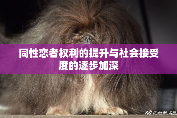 同性恋者权利的提升与社会接受度的逐步加深
