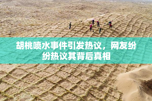 胡桃喷水事件引发热议，网友纷纷热议其背后真相