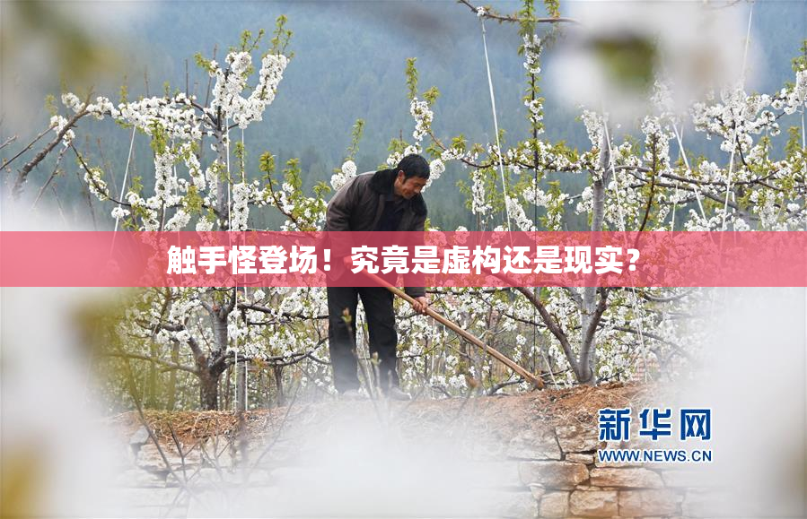 触手怪登场！究竟是虚构还是现实？