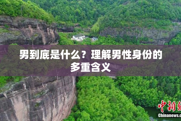男到底是什么？理解男性身份的多重含义