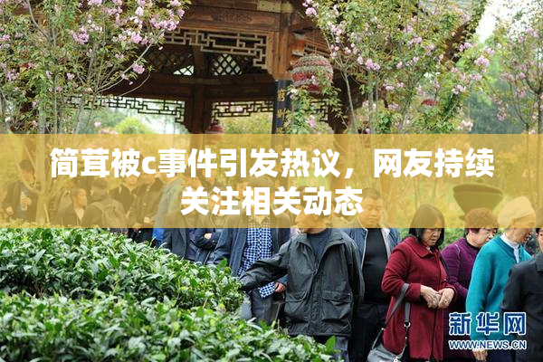 简茸被c事件引发热议，网友持续关注相关动态