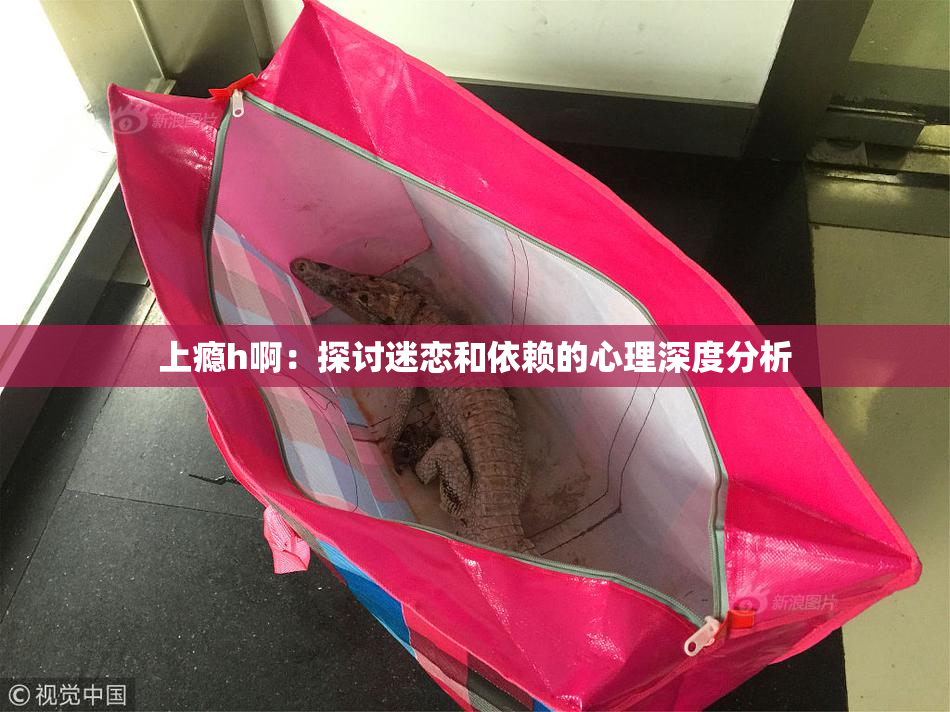 上瘾h啊：探讨迷恋和依赖的心理深度分析
