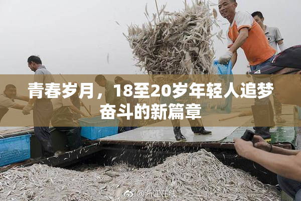 青春岁月，18至20岁年轻人追梦奋斗的新篇章