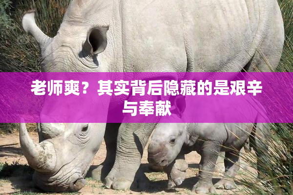 老师爽？其实背后隐藏的是艰辛与奉献