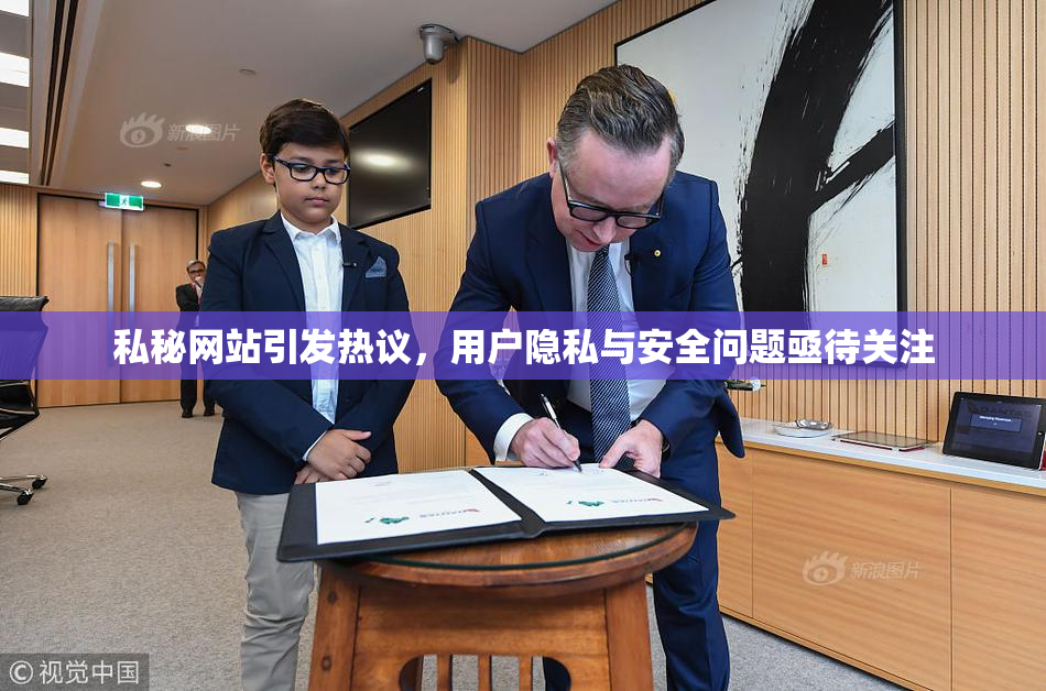 私秘网站引发热议，用户隐私与安全问题亟待关注
