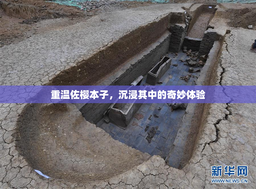 重温佐樱本子，沉浸其中的奇妙体验