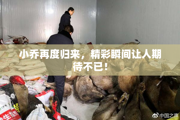 小乔再度归来，精彩瞬间让人期待不已！
