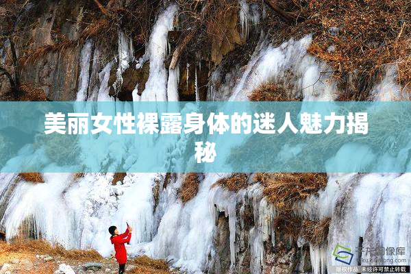 美丽女性裸露身体的迷人魅力揭秘