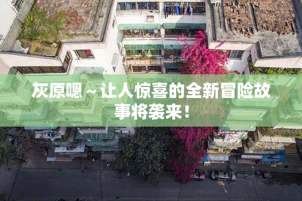 灰原嗯～让人惊喜的全新冒险故事将袭来！