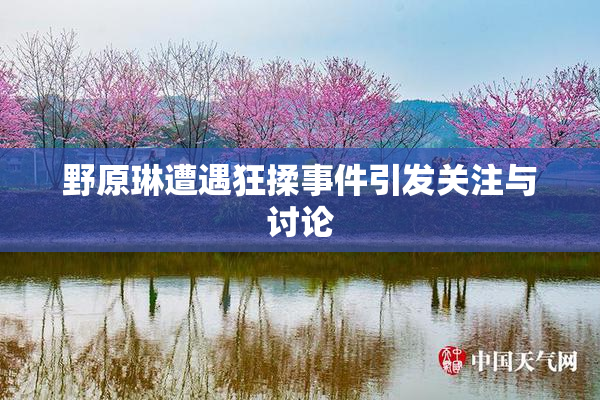 野原琳遭遇狂揉事件引发关注与讨论