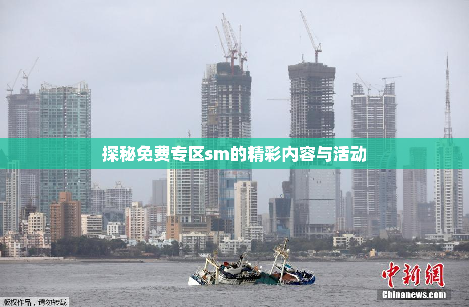 探秘免费专区sm的精彩内容与活动