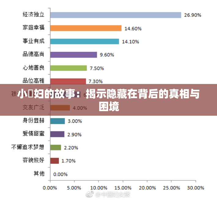 小婬妇的故事：揭示隐藏在背后的真相与困境