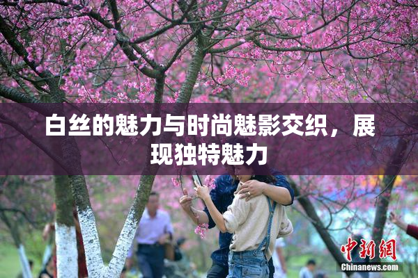 白丝的魅力与时尚魅影交织，展现独特魅力