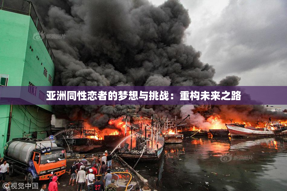 亚洲同性恋者的梦想与挑战：重构未来之路