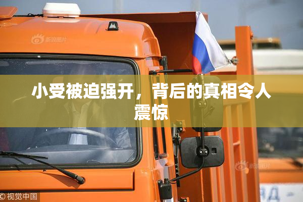 小受被迫强开，背后的真相令人震惊
