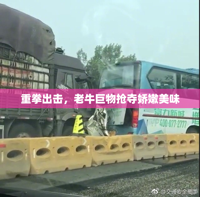 重拳出击，老牛巨物抢夺娇嫩美味