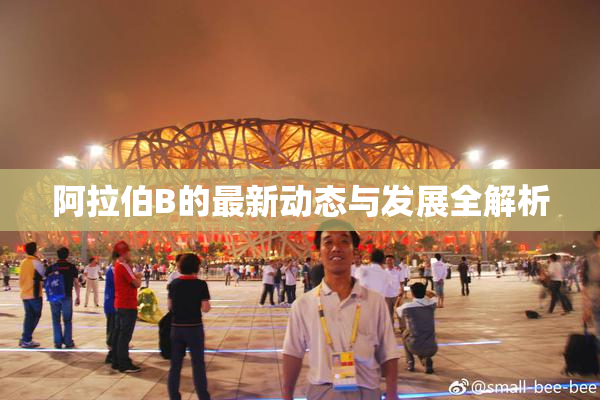 阿拉伯B的最新动态与发展全解析