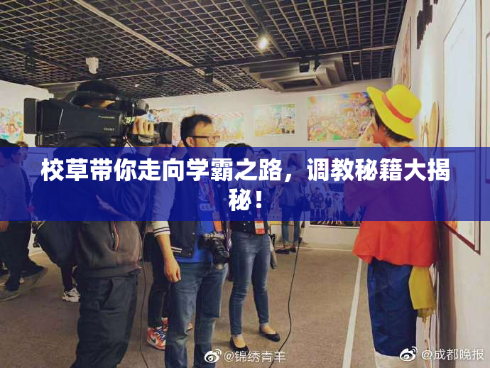 校草带你走向学霸之路，调教秘籍大揭秘！