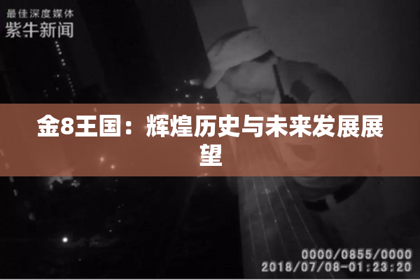 金8王国：辉煌历史与未来发展展望