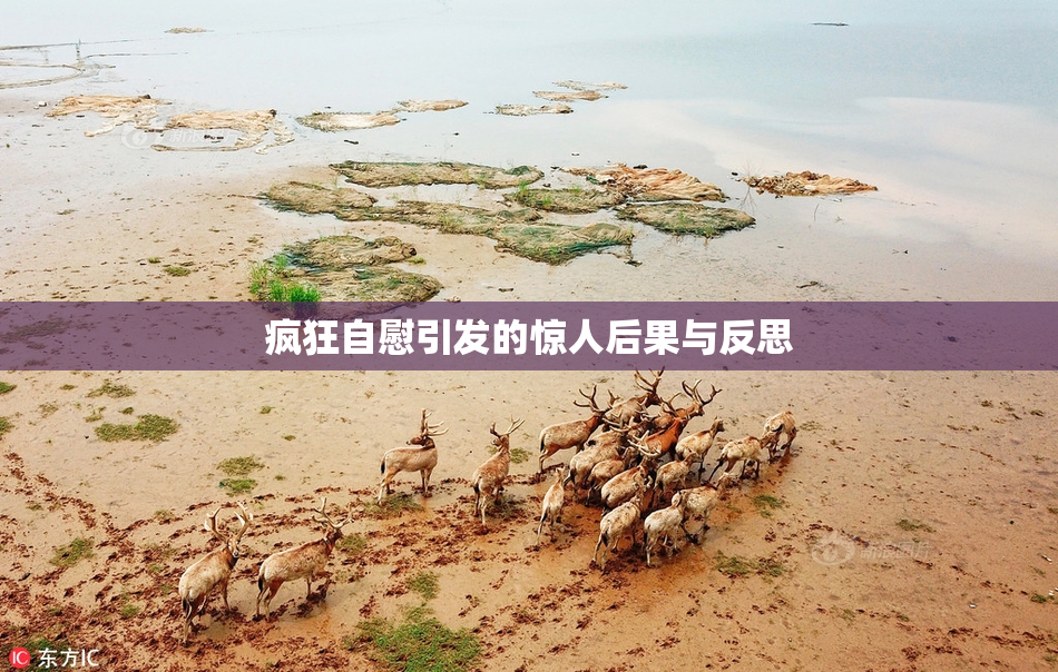 疯狂自慰引发的惊人后果与反思