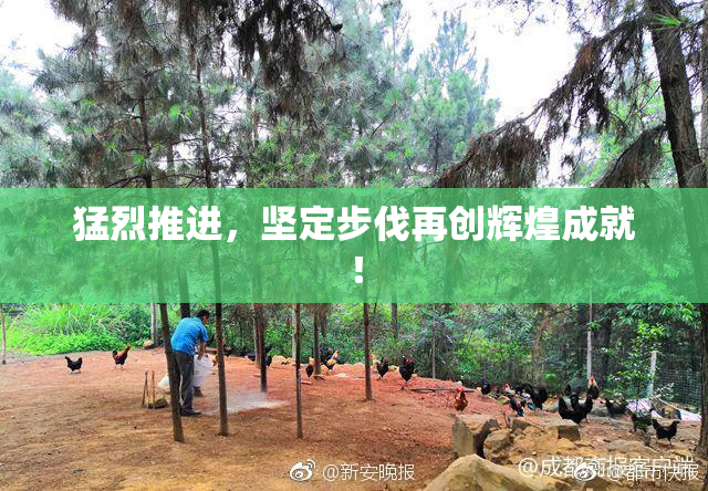 猛烈推进，坚定步伐再创辉煌成就！