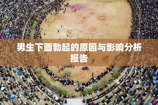 男生下面勃起的原因与影响分析报告