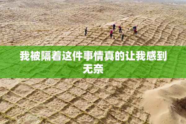 我被隔着这件事情真的让我感到无奈