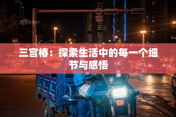 三宫椿：探索生活中的每一个细节与感悟
