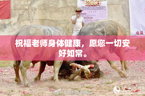 祝福老师身体健康，愿您一切安好如常。